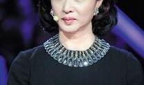 金星爆料沈楠简介视频,沈楠背后的故事与成就