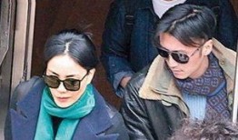 王菲和谢霆锋最新爆料,揭秘复合背后的故事