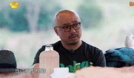 徐峥的最新爆料有哪些呢,揭秘演艺圈幕后故事