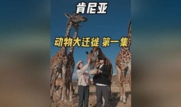 大物在线观看在线,探索物理世界的奥秘之旅