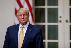 特朗普最新数据爆料信息