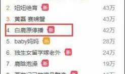 娱乐内幕吃瓜网址,跟随“娱乐内幕吃瓜网址”探寻明星幕后故事