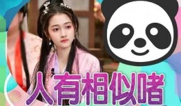 娱乐圈爆料瓜小说,揭秘明星背后的秘密瓜料