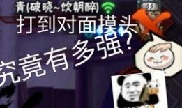 鸡翅佐助爆料视频大全,揭秘视频大全背后的精彩瞬间