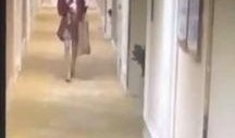 网友爆料朝阳酒店视频在线观看,网友热议，真相究竟如何？