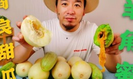 网红传播吃瓜群众,吃瓜群众紧跟步伐