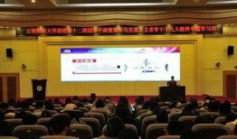财经新闻爆料云南低价团,旅游市场背后的真相与隐忧