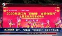 湛江知名新闻爆料事件视频,视频揭露惊人真相，引发社会广泛关注