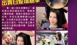 港媒爆料公公婆婆视频,家庭矛盾引发热议