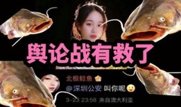 北极鲶鱼爆料者视频,爆料者视频背后的真相与争议