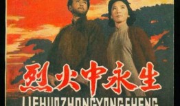 在烈火中永生在线观看,燃烧的信仰，不朽的传奇