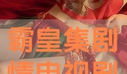 皇片在线视频观看,畅享影视盛宴，尽在指尖