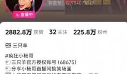 仙鱼最新爆料视频播放大全,揭秘幕后真相与精彩瞬间