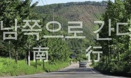 韩国 南行在线观看,穿越韩国南部的美丽旅程