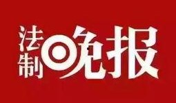 小王同学爆料新闻报道,揭秘新闻报道背后的真相