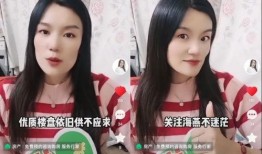 杭州燕姐爆料事件真相视频,揭秘真相背后的曲折历程