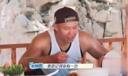 阿雅爆料摔跤视频播放,视频播放量爆表引网友热议