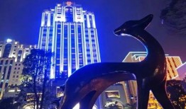 福建酒店大片爆料视频完整版,奢华内景与独家爆料