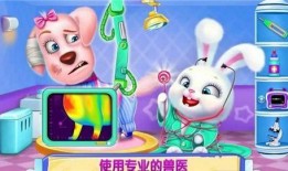 宠物医生爆料视频播放,视频播放背后的惊人真相