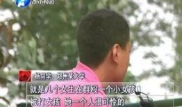 河南女孩爆料视频大全最新,揭秘真实生活瞬间