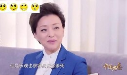 平安爆料杨澜视频可下载,平安爆料背后的下载秘密