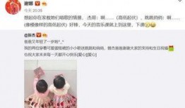 背影采访爆料视频,独家爆料背后的故事与真相